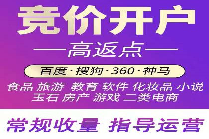 成功SEM服务案例分析报告